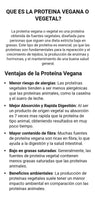 Proteina Vegana MAXI PLUS